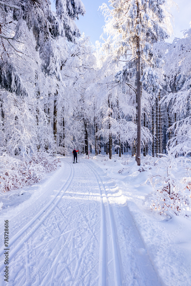 Fototapeta premium Langlaufrunde bei bestem Kaiserwetter im verschneiten Thüringer Wald bei Floh-Seligenthal - Thüringen - Deutschland