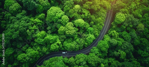 Aerial view of car driving on rural road in dense rainforest with vibrant green tree canopy