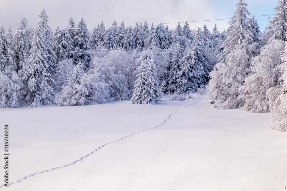 Langlaufrunde bei bestem Kaiserwetter im verschneiten Thüringer Wald bei Floh-Seligenthal - Thüringen - Deutschland