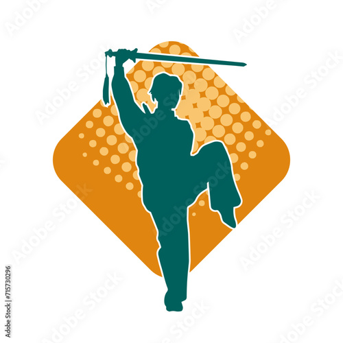 Silhouette of a female warrior in action pose with her sword weapon. Silhouette of a woman fighter in action pose with sharp blade weapon.
