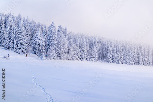 Wallpaper Mural Langlaufrunde bei bestem Kaiserwetter im verschneiten Thüringer Wald bei Floh-Seligenthal - Thüringen - Deutschland Torontodigital.ca