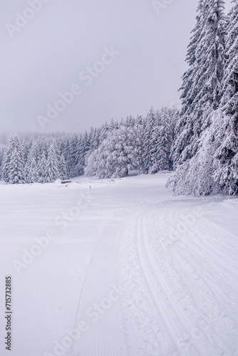 Langlaufrunde bei bestem Kaiserwetter im verschneiten Thüringer Wald bei Floh-Seligenthal - Thüringen - Deutschland © Oliver Hlavaty