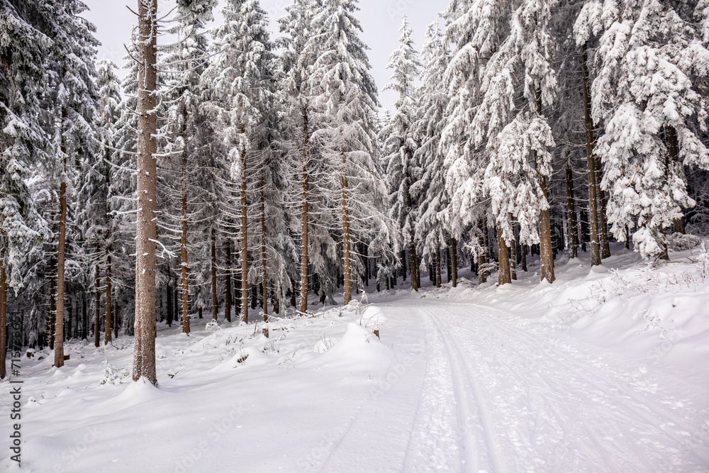 Langlaufrunde bei bestem Kaiserwetter im verschneiten Thüringer Wald bei Floh-Seligenthal - Thüringen - Deutschland Langlaufrunde bei bestem Kaiserwetter im verschneiten Thüringer Wald bei Floh-Seligenthal - Thüringen - Deutschland