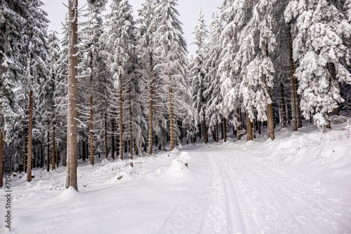 Langlaufrunde bei bestem Kaiserwetter im verschneiten Thüringer Wald bei Floh-Seligenthal - Thüringen - Deutschland © Oliver Hlavaty