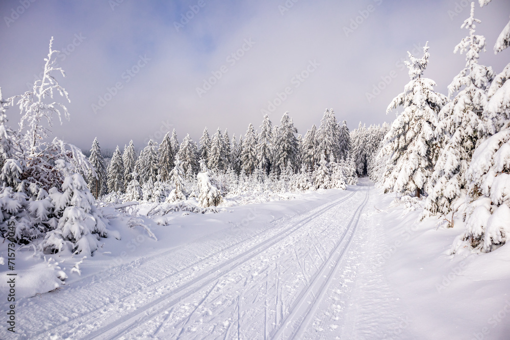 Fototapeta premium Langlaufrunde bei bestem Kaiserwetter im verschneiten Thüringer Wald bei Floh-Seligenthal - Thüringen - Deutschland