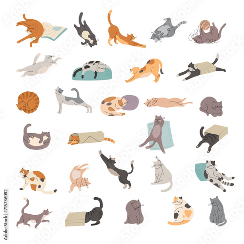 Funny cats. Domestic little kitten playing recent vector animal behavior activities