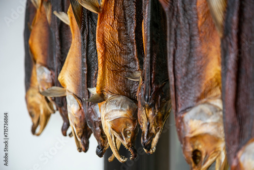 Traditional salted salmons hanging in the city of Murakami in Niigata Prefecture. photo