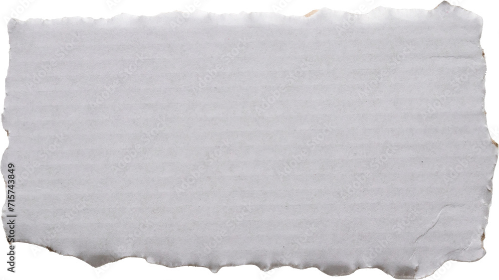 piece of white paper tear isolated on white background piece of white paper tear isolated on white background