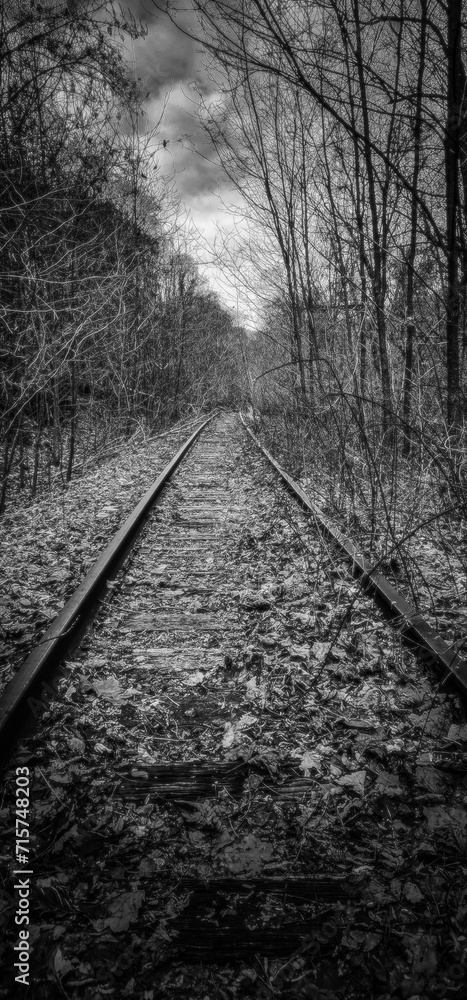 Fototapeta premium Degraded and derailed