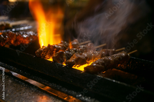 Grilled yakitori chicken skewers at an Izakaya restaurant in Omoide Yokocho street in the Shinjuku district of Tokyo.