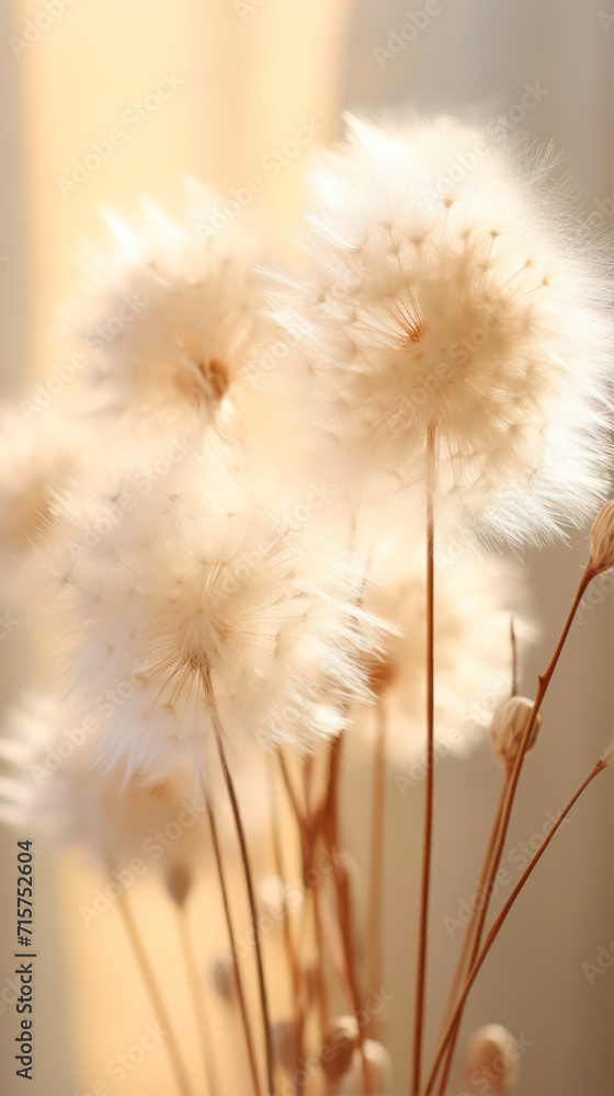 Dried flowers on light background, closeup. Floral decor