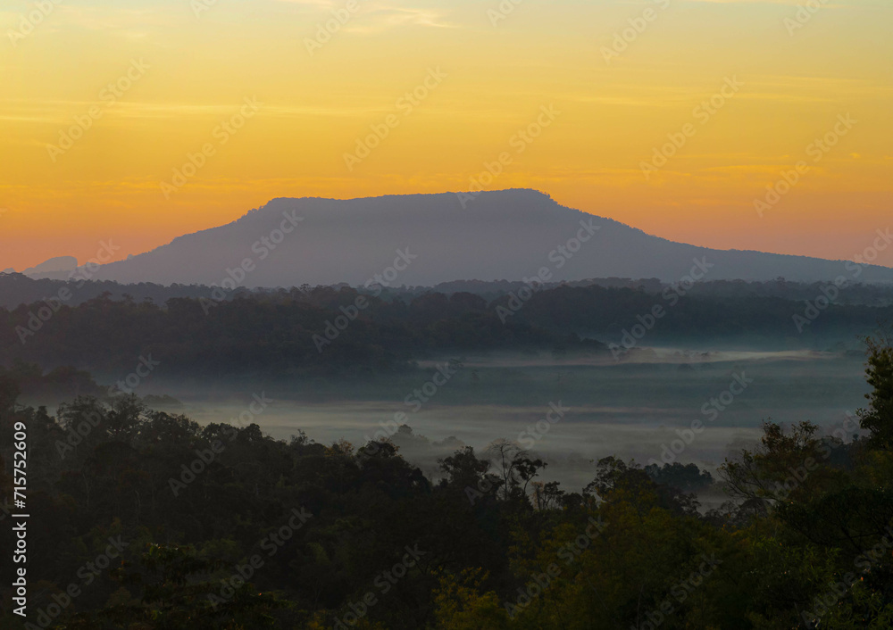 The stunning view from a tourist's standpoint as they go down a hill on a foggy trail with a hill and a background of a golden sky in Forest Park, Thailand. Rainforest. Bird's eye view. Aerial view.