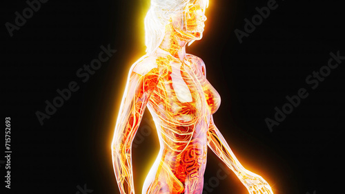 Abstract illustration of a woman walking