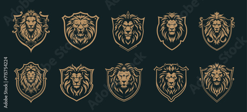 Lions emblems. Heraldic lion king head shields isolated for security luxury guarding designs, royal emblem vector elements