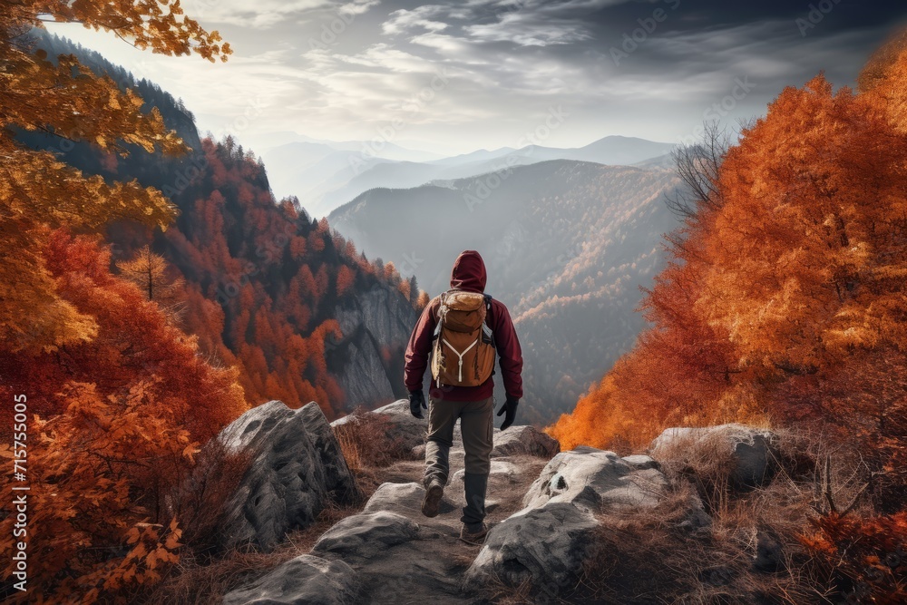 A determined entrepreneur embarks on a challenging hike up a hill, surrounded by the fiery spectacle of autumn trees, symbolizing his journey towards success - obrazy, fototapety, plakaty 