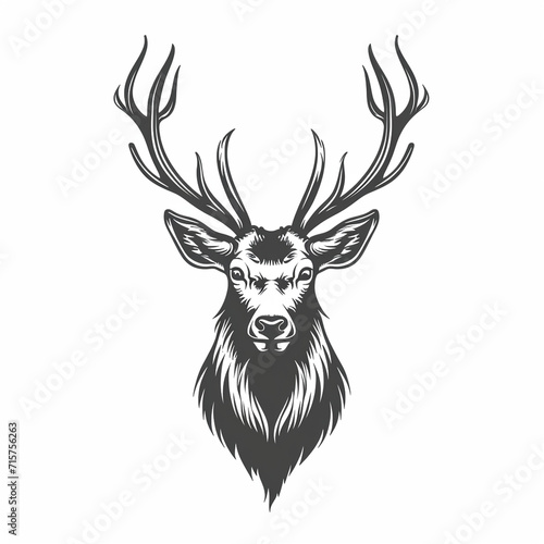 illustration of a stag, Logo on white background © Denis Yevtekhov