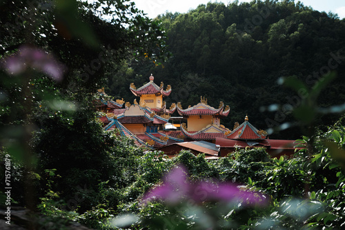 View at Suoi Do temple, Vietnam photo