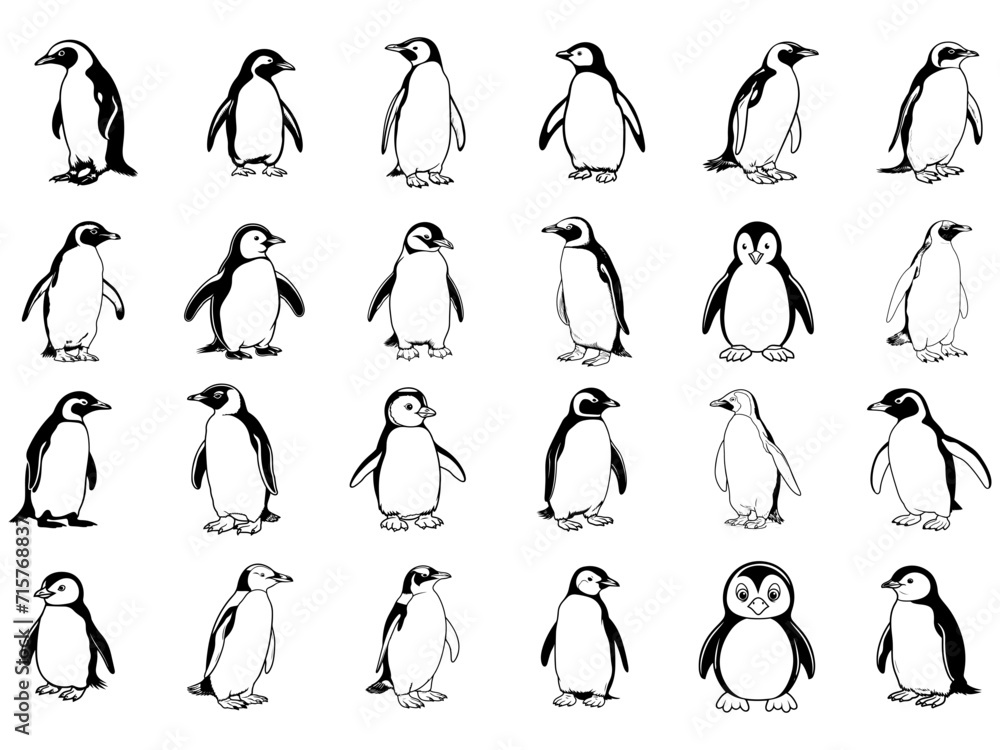 Penguin SVG bundle, penguin SVG, christmas penguin SVG, penguin