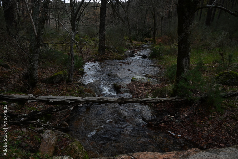 Arroyo del Sestil del Maillo , Canencia Arroyo del Sestil del Maillo , Canencia