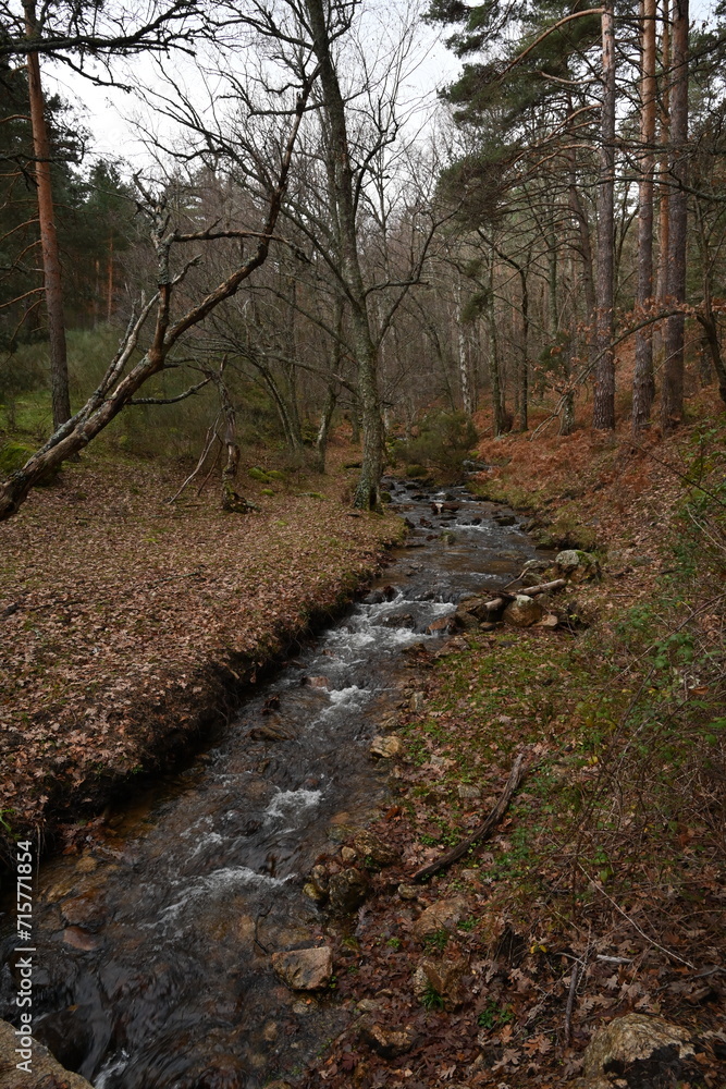 Arroyo del Sestil del Maillo , Canencia Arroyo del Sestil del Maillo , Canencia