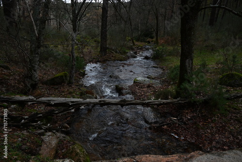 Arroyo del Sestil  del Maillo   Canencia 