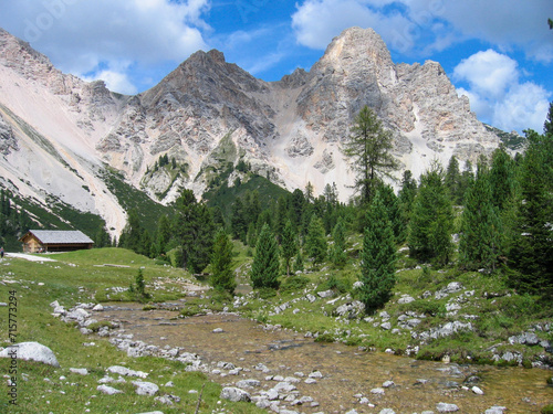 scenic view to the snow capped dolomites and the green landscape in the Alps