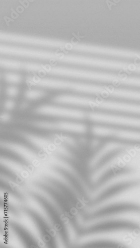 Moving leaves and window shadow overlay under sunlight natural appeal animation over white color background. Sunlight coming from window creating a shadow overlay inside the room.