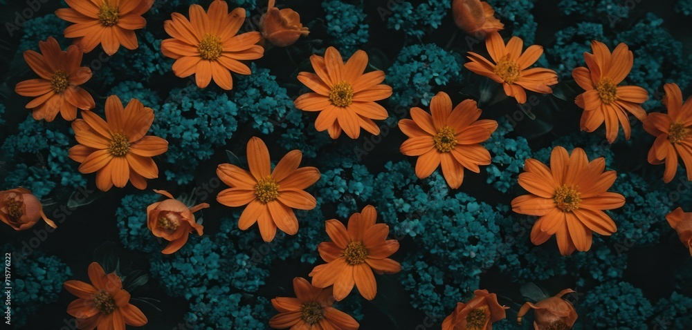 a group of orange flowers sitting next to each other on top of a bed of blue and green flowers on top of a bed of blue and green plants next to each other. a group of orange flowers sitting next to each other on top of a bed of blue and green flowers on top of a bed of blue and green plants next to each other.