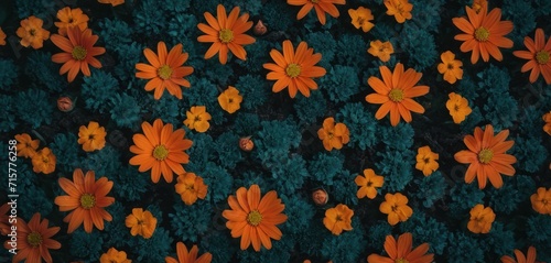  a group of orange flowers sitting next to each other on a field of green and orange flowers in the middle of a field of orange and yellow flowers in the center of the picture.
