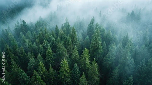 The dense green forest looks beautiful from bird's eye view. AI generated illustration © moon