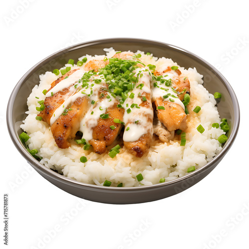 Rice and fried chicken on transparent background PNG