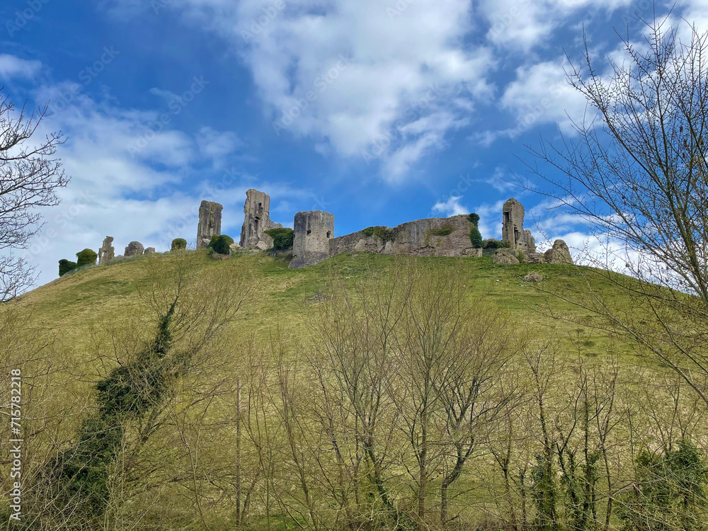 View of Corfe castle surrounded by woodland on bright blue sky day with light cumulus clouds, on the Isle of Purbeck peninusula, Dorset, England.