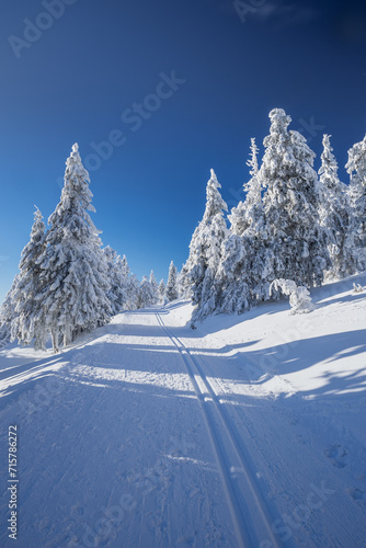 Obraz na płótnie Winter landscapes in the Czech Jeseniky Mountains. Snow and ice created fairy-tale views. The mountains look beautiful this time of year. w salonie