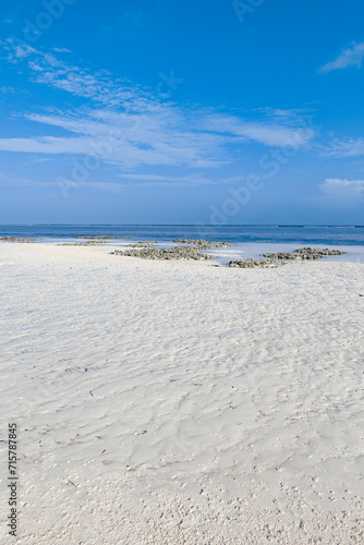 Mtende beach  Zanzibar island Unguja  Tanzania  East Africa