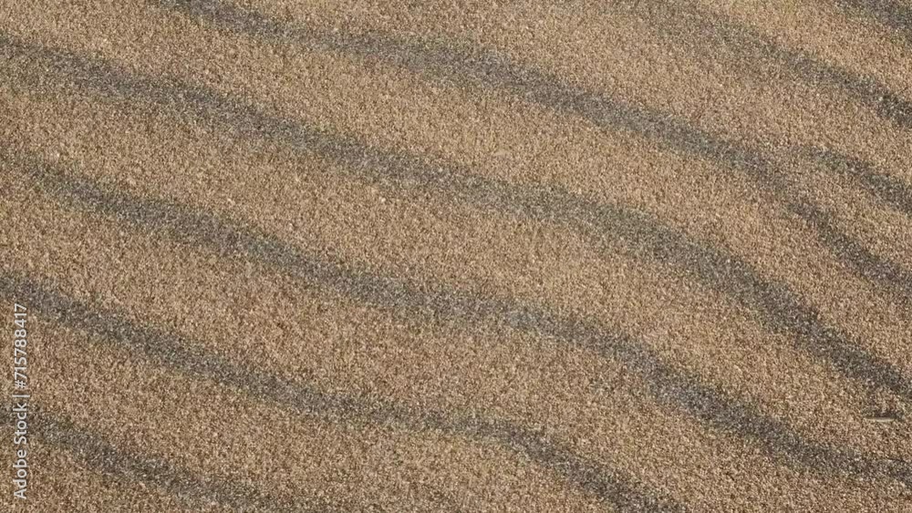 sand on the beach dances above the small dunes, carried by the powerful wind during stormy weather, close-up view of nature's dynamic forces. sand on the beach dances above the small dunes, carried by the powerful wind during stormy weather, close-up view of nature's dynamic forces.