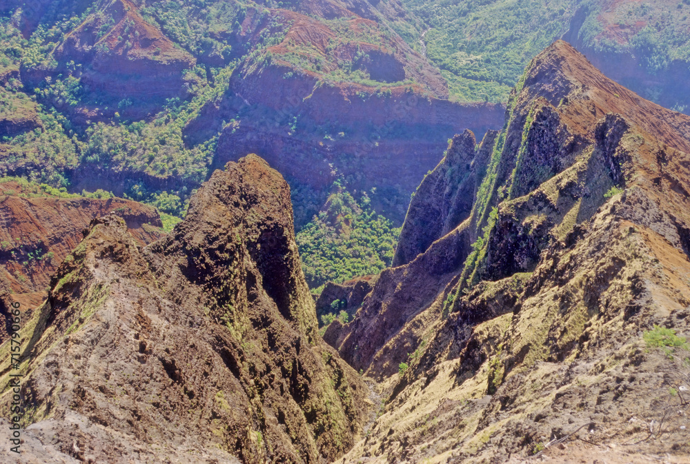 Fototapeta premium Waimea Canyon State Park