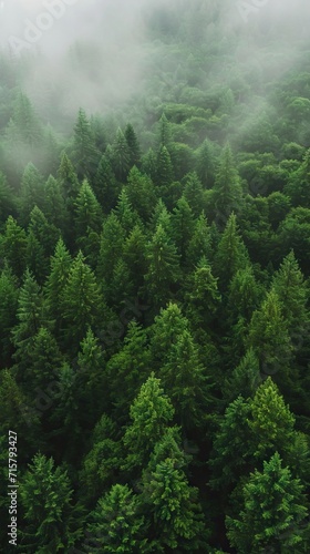 The dense green forest looks beautiful from bird's eye view. AI generated illustration