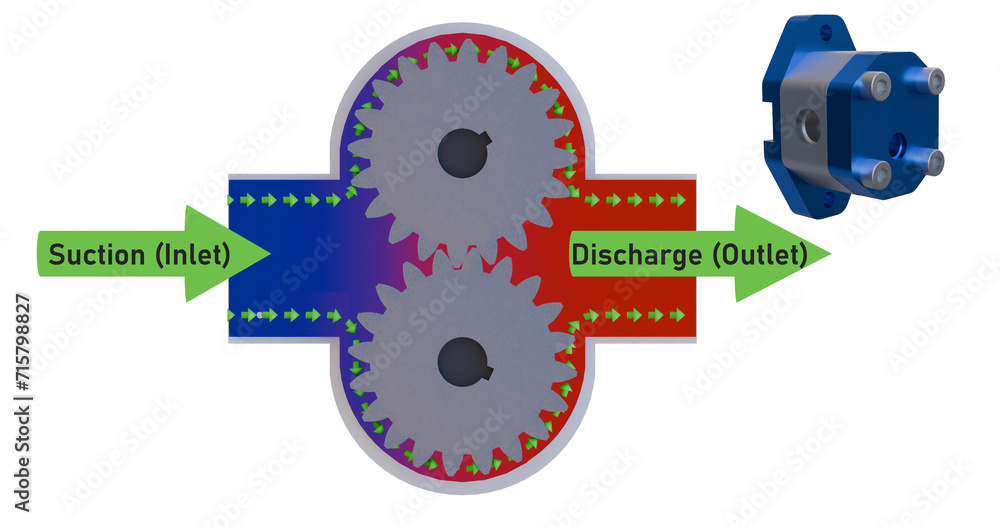 Gear pump working principle. Green arrows used to demonstrate a