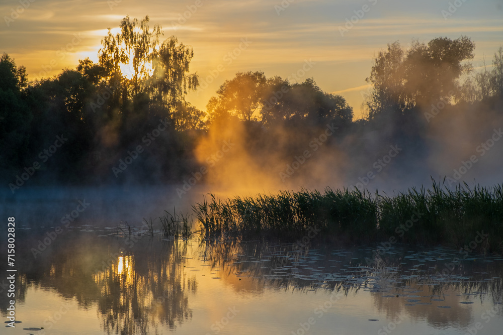 Fototapeta premium morning mist on the river