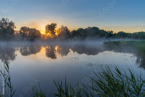 morning mist on the lake