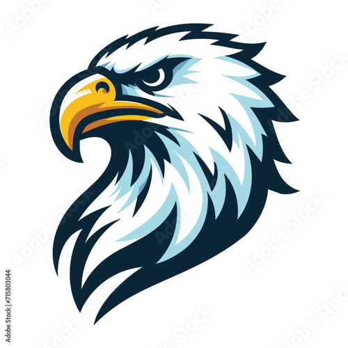 bird eagle hawk head logo mascot design vector illustration isolated on white background