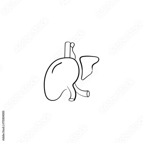 human liver hand drawn outline doodle