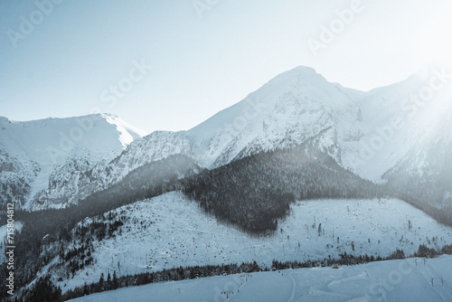 snow covered mountains