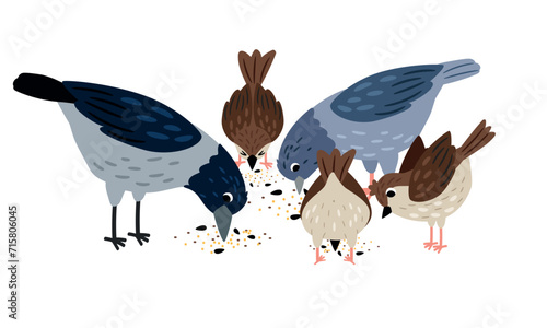 Crow, pigeon, sparrow eat seeds. Collection of cute birds on white background vector illustration