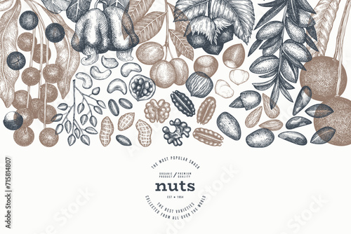 Hand Drawn Nuts Branch And Kernels  Template. Organic Seed Vector Design. Retro Nut Illustration. Engraved Style Botanical Banner.