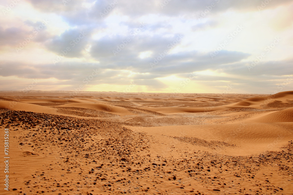 The Sahara desert landscape in Morocco between M'Hamid El Ghizlane and Erg Chigaga The Sahara desert landscape in Morocco between M'Hamid El Ghizlane and Erg Chigaga