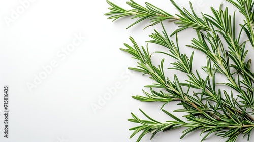 Top view of rosemary in a clean white backdrop with big copy space  Generative AI.