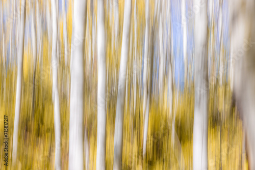 Intentional movement as a fall background