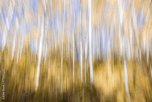 Intentional movement as a fall background