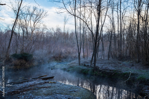nebbia all'alba nel parco del Lura © Roberto Zocchi